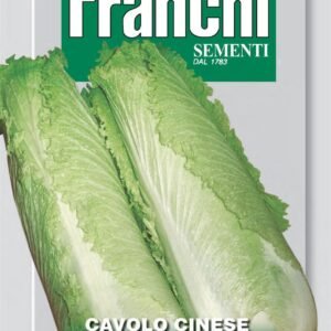 Franchi Seeds of Italy - DBO 35/5 - Chinese Kale - Pe-Tsai (Michihili) - Seeds