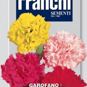 Franchi Seeds of Italy - Flower - FDBF_ 325-1 - Carnation - Chabaud Mix - Seeds
