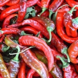 Pepper (Sweet) Sweet Nardello Seeds