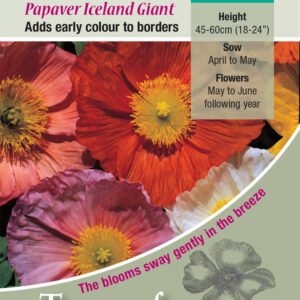 Kings Seeds Poppy Iceland Giant 1500 Seed
