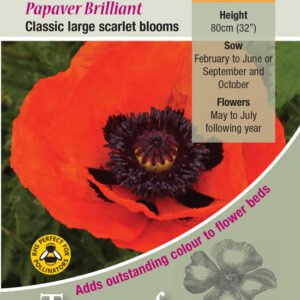 Kings Seeds Poppy Brilliant 1000 Seed