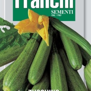 Franchi Seeds of Italy - DBO 146/36 - Courgette - Verde D'Italia - Seeds