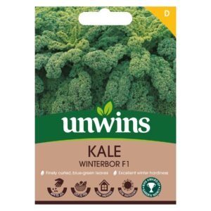 Unwins Vegetable Kale Winterbor F1 Hybrid - 25 Seeds