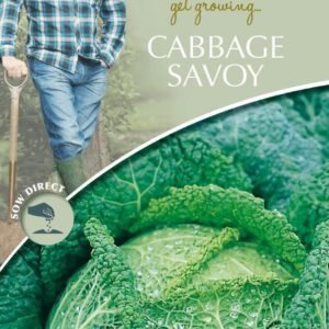 Mr Fothergills - David Domoney - Vegetable - Cabbage Savoy - Ormskirk - 400 Seeds