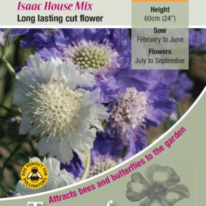 Kings Seeds Scabious caucasica Issac House Mix 35 Seed