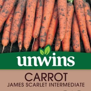 Unwins Carrot James Scarlet Intermediate 1500 Seeds