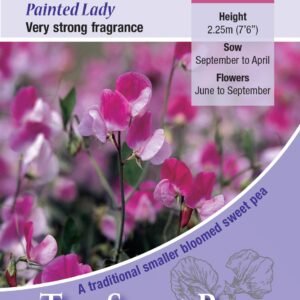 Kings Seeds Sweet Pea Painted Lady 20 Seeds