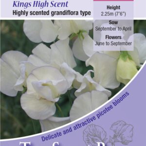 Kings Seeds Sweet Pea Kings High Scent 20 Seeds