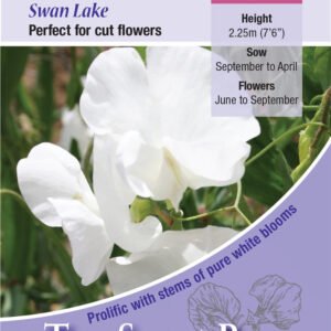 Kings Seeds Sweet Pea Swan Lake 20 Seed