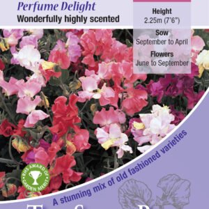 Kings Seeds Sweet Pea Perfume Delight 30 Seeds