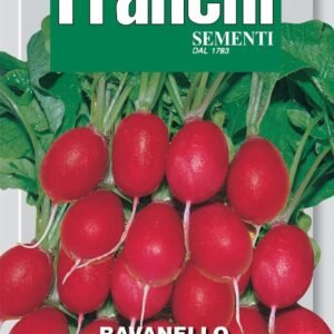 Franchi Seeds of Italy Radish Datil Rojo Seeds