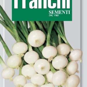 Franchi Seeds of Italy Onion Blanca Barletta Seeds