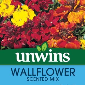 Unwins Wallflower Scented Mix 200 Seeds