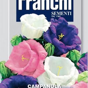 Franchi Seeds of Italy - Flower - FDBF_ 310-1 - Campanula gradiflora mix - Canterbury Bells - Seeds