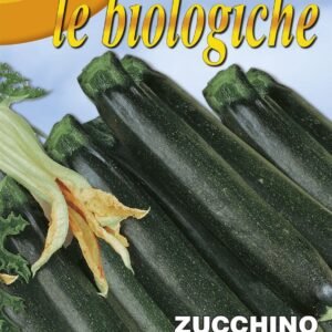 Franchi Organic BIOB146/1 Courgette Nero di Milano Seeds