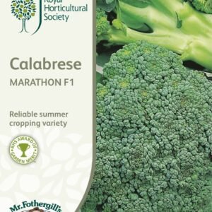 Mr Fothergills RHS Calabrese Marathon F1 50 Seeds
