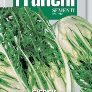 Franchi Seeds of Italy Chicory Catalogna Brindisina Seeds