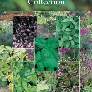Suffolk Herbs Culinary Favourites Collection Pack Seed
