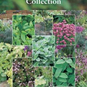 Suffolk Herbs Herb Garden Collection Seed