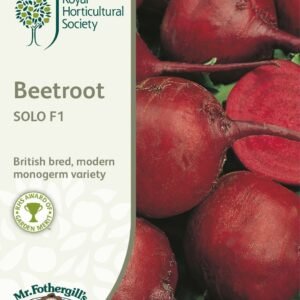 Mr Fothergills RHS Beetroot Solo F1 250 Seeds