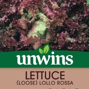 Unwins Lettuce (Loose) Lollo Rossa 300 Seeds