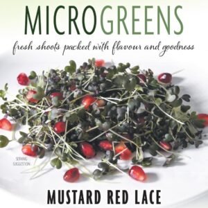 Thompson & Morgan Vegetable Microgreens Mustard Red Lace  - 300 Seeds