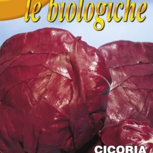 Franchi Organic BIOB40/13 Chicory Rossa Di Verona Seeds