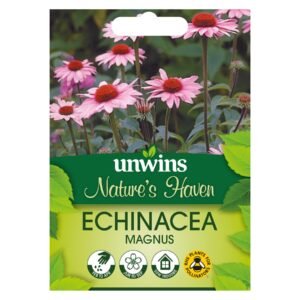 Unwins Flower Echinacea Magnus - 25 Seeds