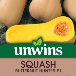 Unwins Squash (Butternut) Hunter F1 10 Seeds