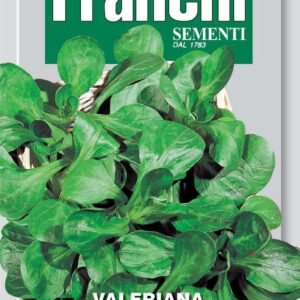 Franchi Seeds of Italy Corn Salad Verte De Cambrai Seeds