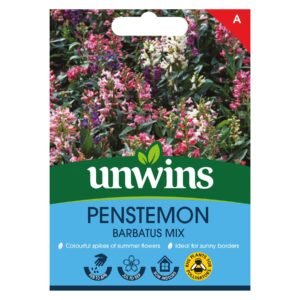 Unwins Flower Penstemon barbatus Mix - 250 Seeds