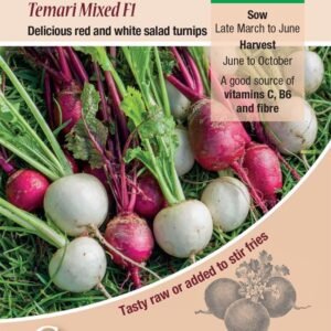 Kings Seeds  Turnip Temari Mixed F1 Seeds