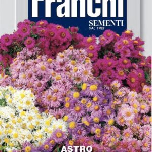 Franchi Seeds of Italy - Flower - FDBF_ 304-12 - Aster alpinus - Multicolour - Seeds