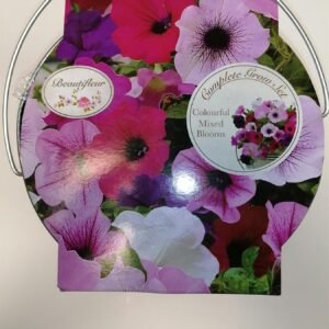 Beautifleur - Petunia - Metal Planter Seeds