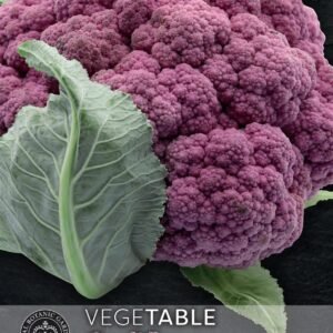Thompson & Morgan Kew Vegetable Cauliflower DePurple F1 - 10 Seeds