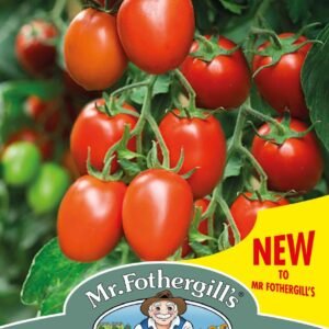 Mr Fothergills Tomato Alfresco 10 Seeds