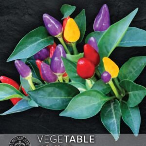Thompson & Morgan Vegetable Pepper Capsicum baccatum Chilli Spangles - 8 Seeds