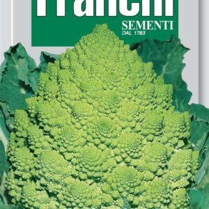 Franchi Seeds of Italy Cauliflower Romanesco Precoce Seeds