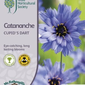 Mr Fothergills RHS Catananche Cupid's Dart 125 Seeds