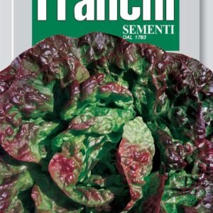 Franchi Seeds of Italy Lettuce Passion Brune Seeds