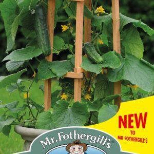 Mr Fothergills - Vegetable - Cucumber - Patio Snacker F1  - 5 Seeds
