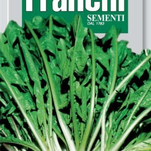 Franchi Seeds of Italy - DBO 40/65 - Chicory - Barbe De Capppuccino - Seeds