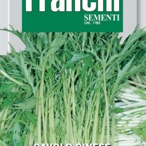 Franchi Seeds of Italy Chinese Kale Mizuna Seeds