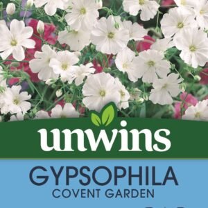 Unwins Gypsophila Covent Garden 1000 Seeds
