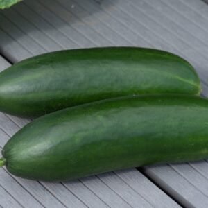 Cucumber Minicrisp Seeds