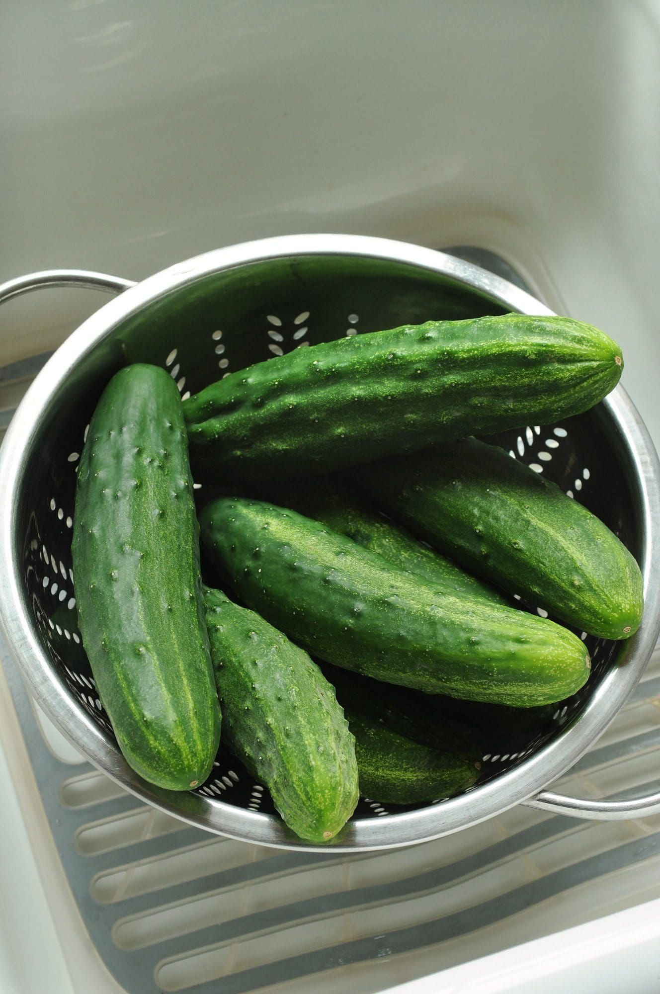 Cucumber_Patio_Snacker_01_comp_be7c88c5-0eb8-490d-ad15-9781180db4d2.jpg