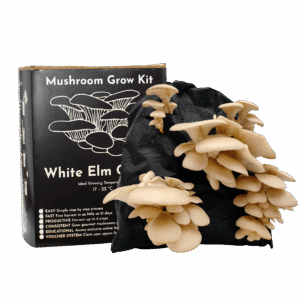 Mushroom Growing Kit White Elm Oyster Gift Option