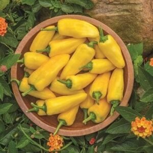 Pepper (Sweet) Lemon Dream Seeds