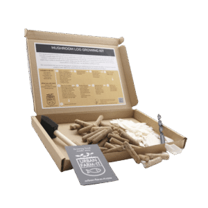 Mushroom Blue Oyster Mushroom Log Growing Kit