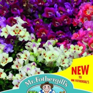 Mr Fothergills Antirrhinum Antiquity F1 50 Seeds
